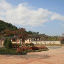 월미전통공원 Daum카페