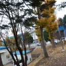 배명전자 이미지