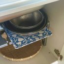 제주달로와 이미지