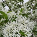 던킨도너츠홈플러스아시아드점 이미지