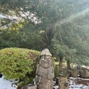 겨울 제주도 여행 | 1일차 코스, 밥 먹고 산책하기 좋은 &lt;비자림&gt;