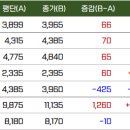 에스디렌터카 이미지