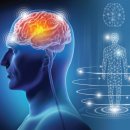 치유요가 | 2026 요가 플로우 페스티벌 후기｜정효진 마음&amp;치유요가 ‘마음근막요가 플로우’와 프라나의 확장