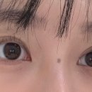 문썹