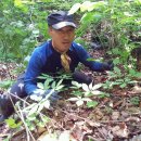 산약초이야기 - 남양주시 | 산약초이야기
