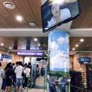 마운틴 스키 티스토리