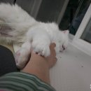 리더스병원 화장실 이미지