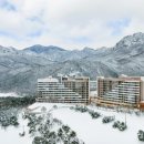 소노벨, 소노문 델피노 이미지