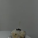 브이요거트 이미지