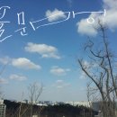 우성아파트104동앞 이미지