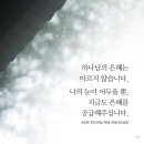 우리의 삶을 빛나게 하시는 은혜 / 손경민 이미지