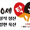 도래울탁구연구소