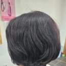 텔리뷰티 이미지