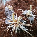 일철농장 이미지