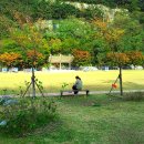 송해공원둘레길 이미지