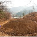 들꽃피는 언덕 이미지