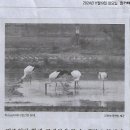 노벨문학상 읽기 이미지