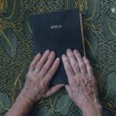 봄날실버센터 이미지