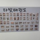 다빛 태권도장 이미지