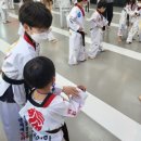 경희대 인하 태권도 이미지