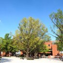 학전식당 | 대학로 단상 with 연극