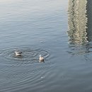 오늘은봄날 이미지