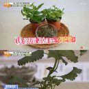 나르샤식품