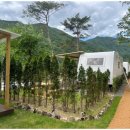 별빛은하수펜션 이미지