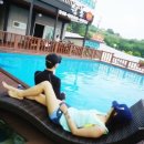 순천만 쉼표 이미지