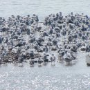 행주나루길 이미지