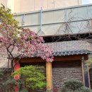 중앙식당충장점 이미지