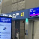 468 | 카자흐스탄 쉼켄트 직항 SCAT 스캇항공 후기 | 비행시간·기내식·DV468
