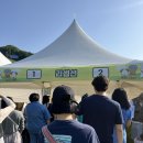 하루댕댕 | 2026 댕댕트레킹 후기 및 꿀팁 / 소노벨 숙박, 셰프스키친 조식, 3km 트레킹 후기