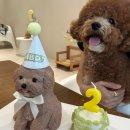 형아푸드 | [문래 앙또] 감자형아의 3살 생일 케이크 제작 후기