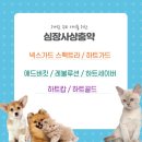 프라자사랑약국 이미지