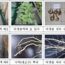 강화군농업기술센터 이미지