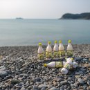 개도민박 티스토리