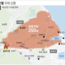 장원주유소 이미지