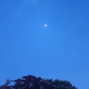 춘천시립청소년합창단 제23회 정기연주회 | 카르미나 부라나(춘천 시립합창단 공연)