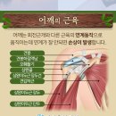 다시올한의원 네이버블로그