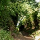 매동둘레길 입구 이미지