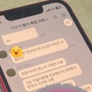 2024 디엠지 피스트레인