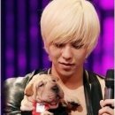 명품애견 이미지