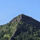 금선에너지 이미지