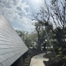 제주도 가볼만한곳 카페 추천 유지 커피웍스 (주차, 메뉴)