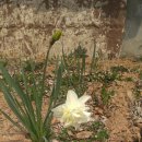 무학사슴농장 이미지