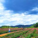 관광단지로(성곡동) 이미지