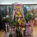 오리진동크바버샵 이미지