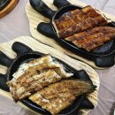 신흥장어 이미지