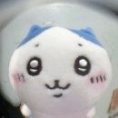 정심약국 | [노원] 한 주 일상, 노원데이트!